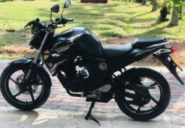 Yamaha FZ-S V2 150 Review