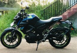 Yamaha MT-15  Review