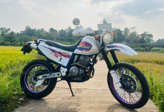 Yamaha TTR 250