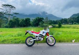 Honda AX-1 250 Review