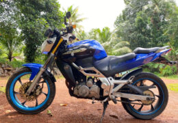 Demak DZM 200 Review